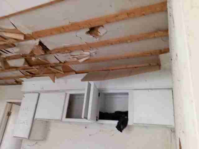 Testing again(23).jpg